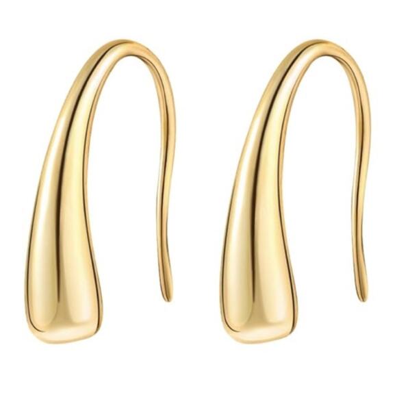 Petite 14K Gold Plated Fishhook Earrings - Picture 1 of 3